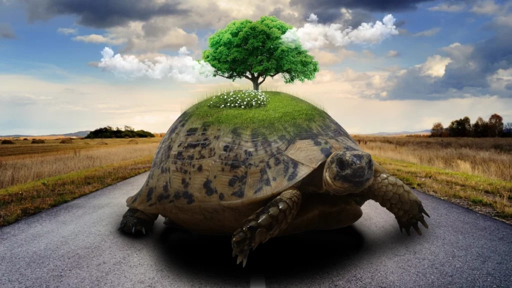 Giant Turtle with a Tree on Her Back